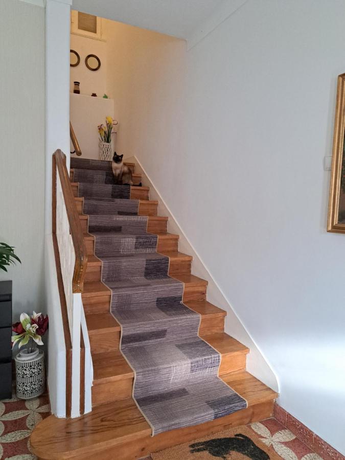 Beja Garden Apartamento Com Terraco Privado ภายนอก รูปภาพ